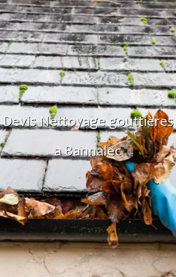 Devis Nettoyage gouttières a Bannalec