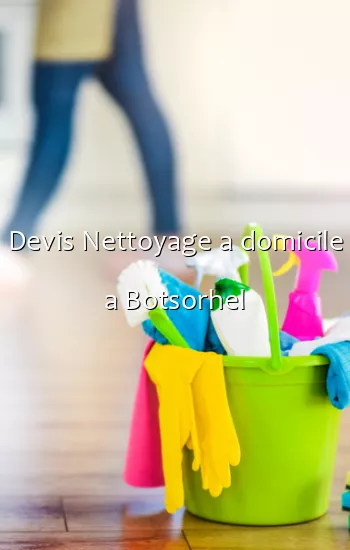 Devis Nettoyage a domicile a Botsorhel