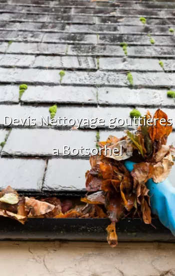 Devis Nettoyage gouttières a Botsorhel