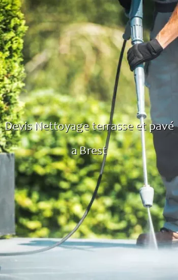 Devis Nettoyage terrasse et pavé a Brest