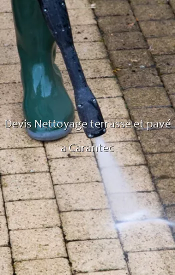 Devis Nettoyage terrasse et pavé a Carantec