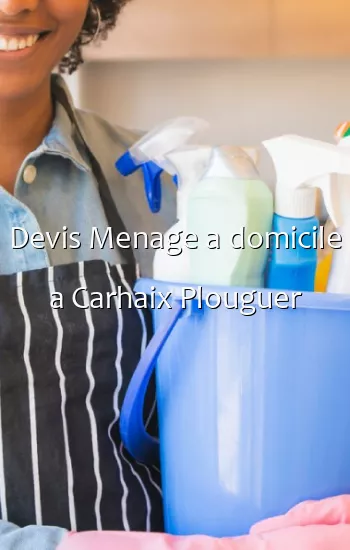 Devis Menage a domicile a Carhaix Plouguer