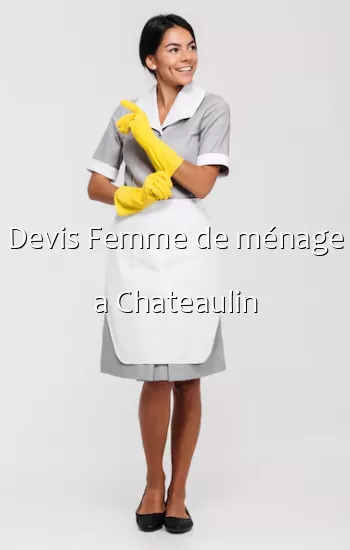 Devis Femme de ménage a Chateaulin