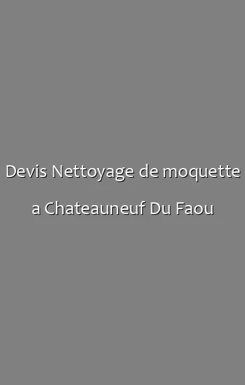 Devis Nettoyage de moquette a Chateauneuf Du Faou