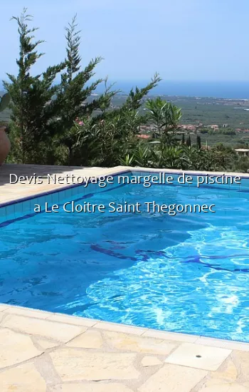 Devis Nettoyage margelle de piscine a Le Cloitre Saint Thegonnec