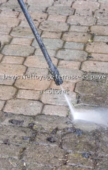 Devis Nettoyage terrasse et pavé a Collorec