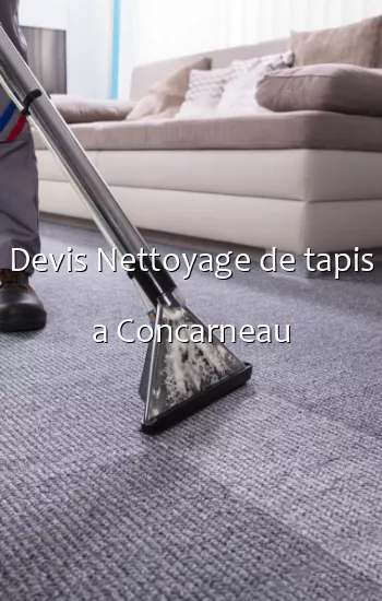 Devis Nettoyage de tapis a Concarneau
