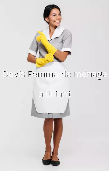 Devis Femme de ménage a Elliant