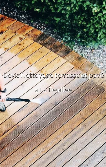 Devis Nettoyage terrasse et pavé a La Feuillee