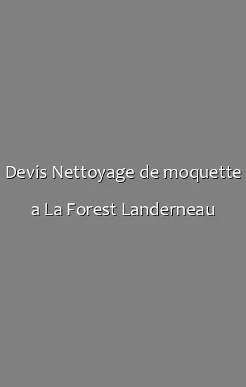 Devis Nettoyage de moquette a La Forest Landerneau