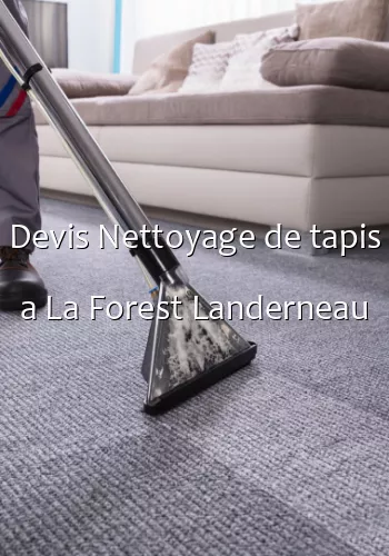 Devis Nettoyage de tapis a La Forest Landerneau