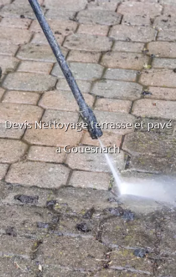 Devis Nettoyage terrasse et pavé a Gouesnach