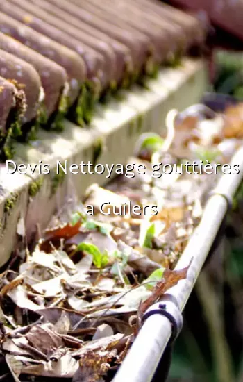 Devis Nettoyage gouttières a Guilers