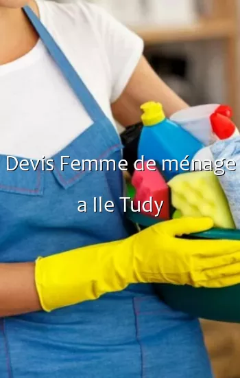 Devis Femme de ménage a Ile Tudy