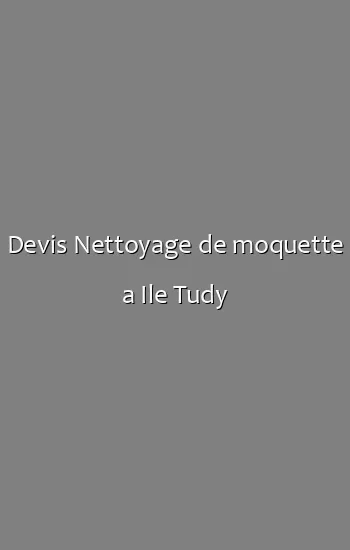 Devis Nettoyage de moquette a Ile Tudy