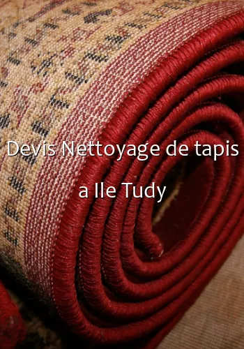 Devis Nettoyage de tapis a Ile Tudy