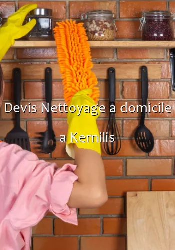 Devis Nettoyage a domicile a Kernilis