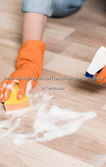 Devis Nettoyage de sol (carrelage, parquet, lino) a Kernoues