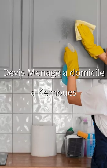 Devis Menage a domicile a Kernoues