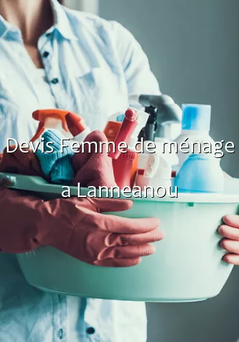 Devis Femme de ménage a Lanneanou