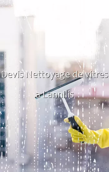 Devis Nettoyage de vitres a Lannilis