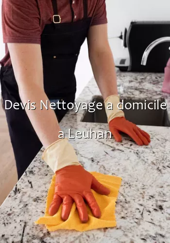 Devis Nettoyage a domicile a Leuhan