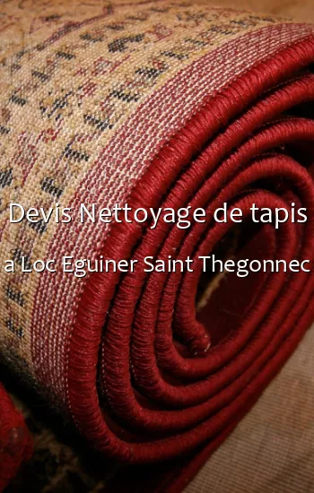 Devis Nettoyage de tapis a Loc Eguiner Saint Thegonnec
