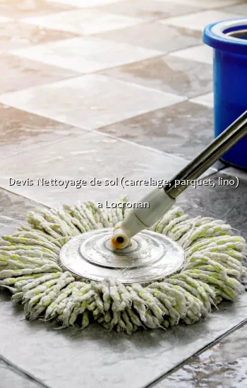 Devis Nettoyage de sol (carrelage, parquet, lino) a Locronan