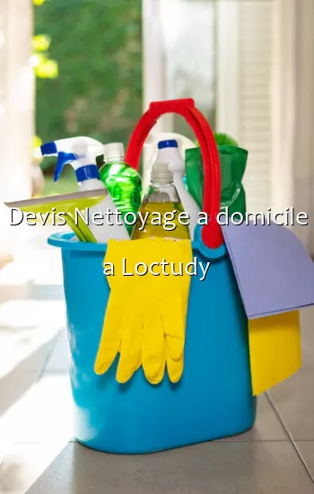 Devis Nettoyage a domicile a Loctudy