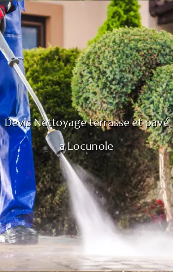 Devis Nettoyage terrasse et pavé a Locunole