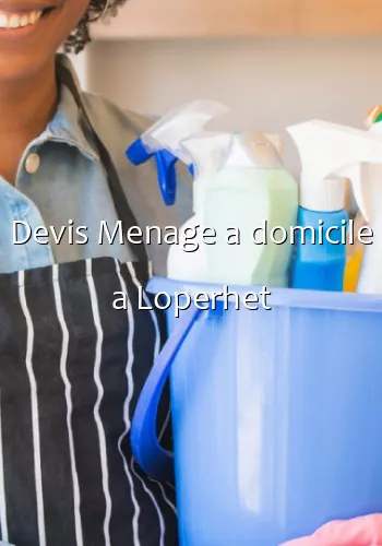 Devis Menage a domicile a Loperhet