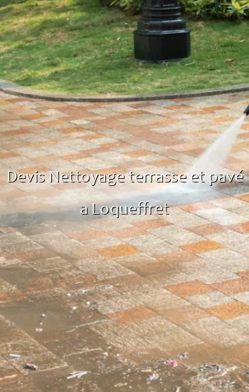 Devis Nettoyage terrasse et pavé a Loqueffret