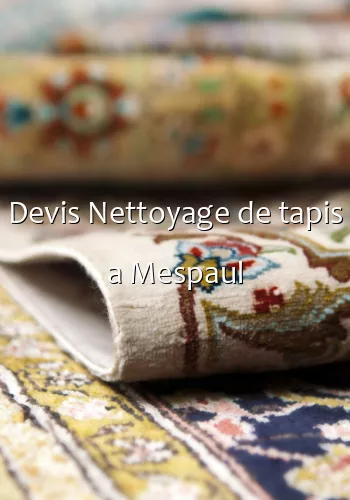 Devis Nettoyage de tapis a Mespaul