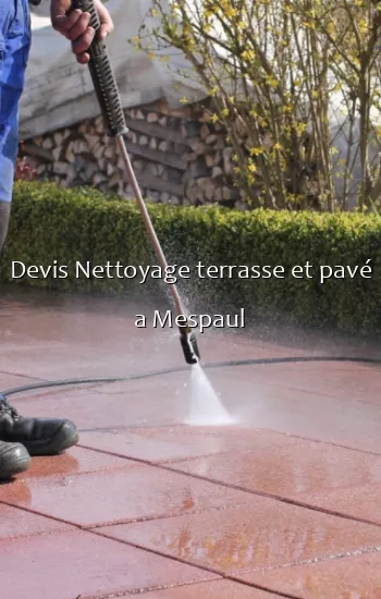 Devis Nettoyage terrasse et pavé a Mespaul