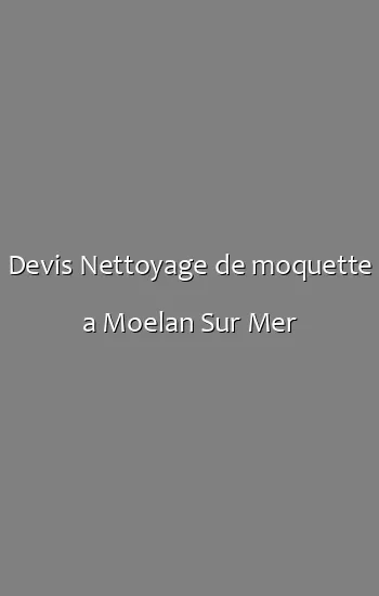 Devis Nettoyage de moquette a Moelan Sur Mer