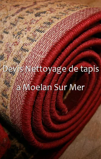Devis Nettoyage de tapis a Moelan Sur Mer