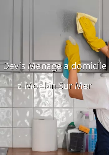 Devis Menage a domicile a Moelan Sur Mer
