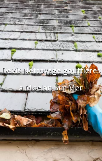Devis Nettoyage gouttières a Moelan Sur Mer