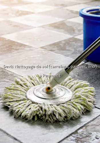 Devis Nettoyage de sol (carrelage, parquet, lino) a Peumerit