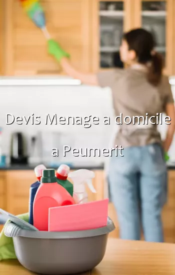 Devis Menage a domicile a Peumerit