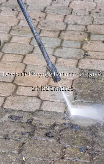 Devis Nettoyage terrasse et pavé a Plobannalec