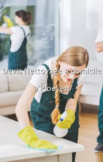 Devis Nettoyage a domicile a Ploeven