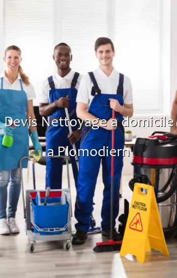 Devis Nettoyage a domicile a Plomodiern