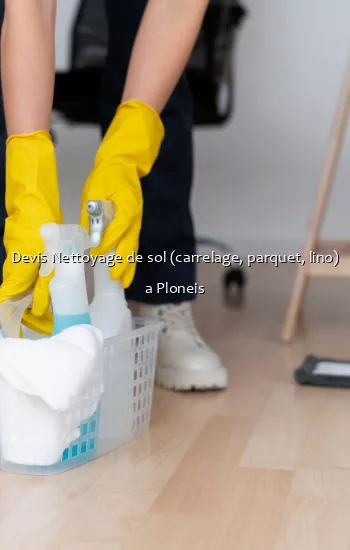 Devis Nettoyage de sol (carrelage, parquet, lino) a Ploneis
