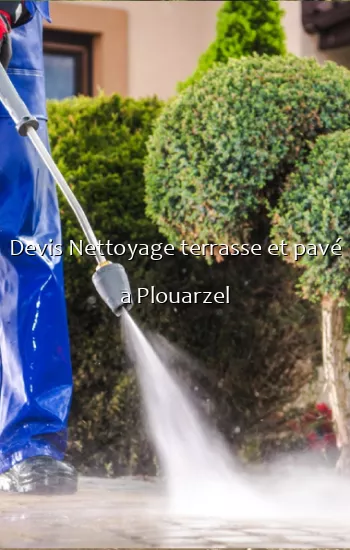 Devis Nettoyage terrasse et pavé a Plouarzel