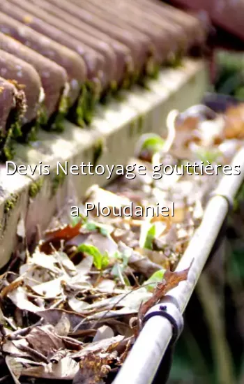 Devis Nettoyage gouttières a Ploudaniel