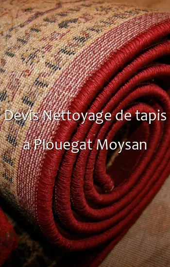 Devis Nettoyage de tapis a Plouegat Moysan