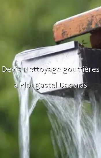 Devis Nettoyage gouttières a Plougastel Daoulas