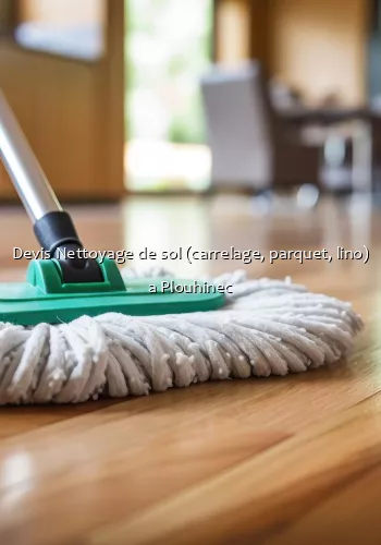 Devis Nettoyage de sol (carrelage, parquet, lino) a Plouhinec