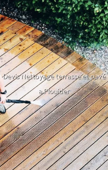 Devis Nettoyage terrasse et pavé a Plouider